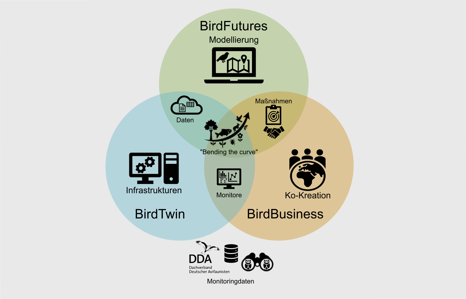 TripleBird-Infografik